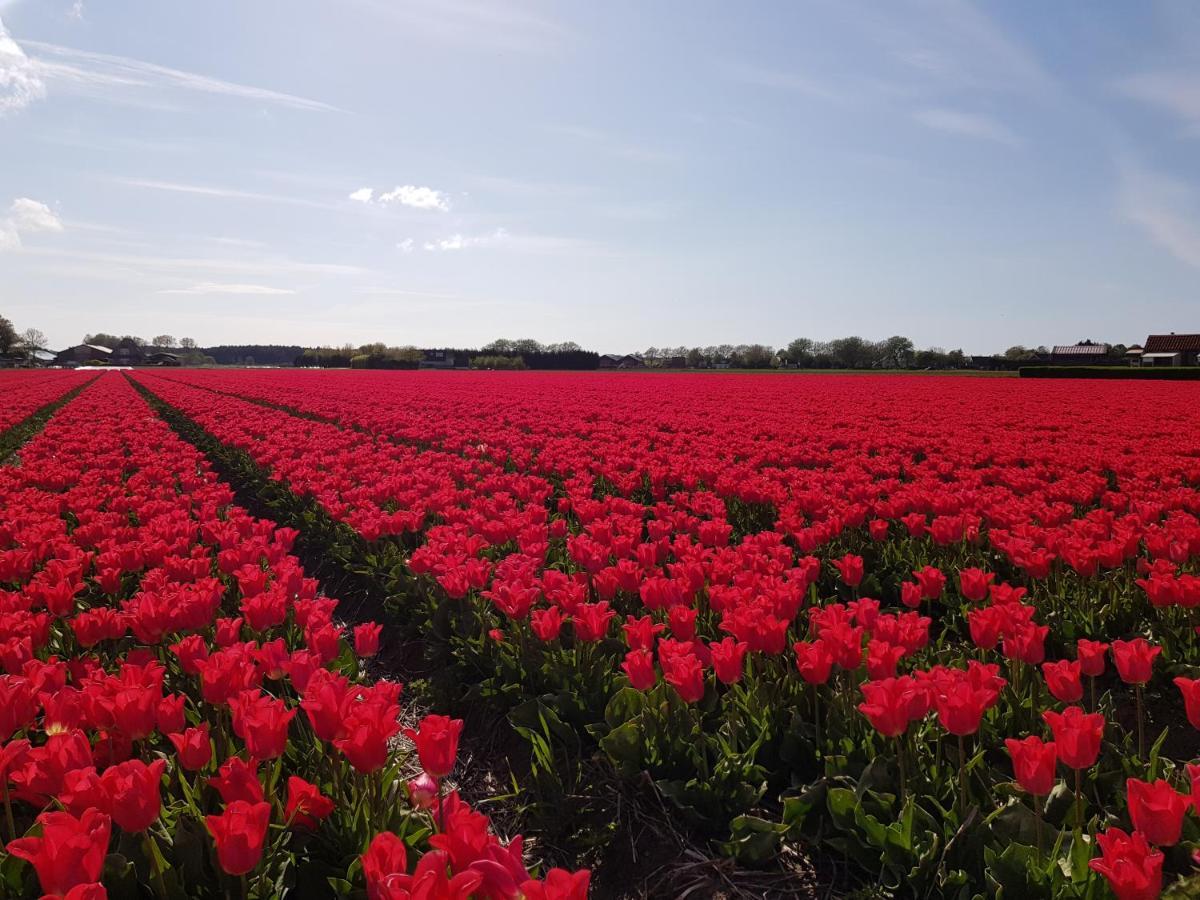 Kust-, Fiets-, Wandel-, Rust- & Cultuurlocatie Villa Castricum Bagian luar foto
